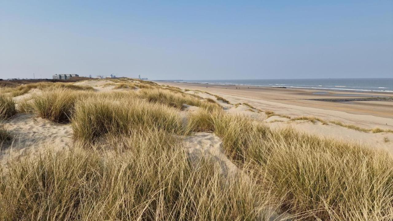 Vacances Relax A بريدين المظهر الخارجي الصورة